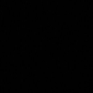 Meet your Posher, Anastasia